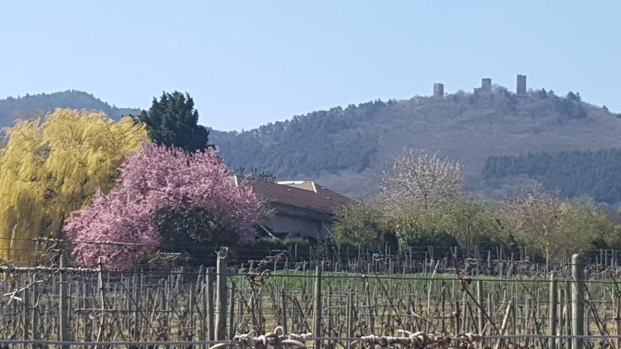 דירות אגויסהיים Fleur De Vigne מראה חיצוני תמונה